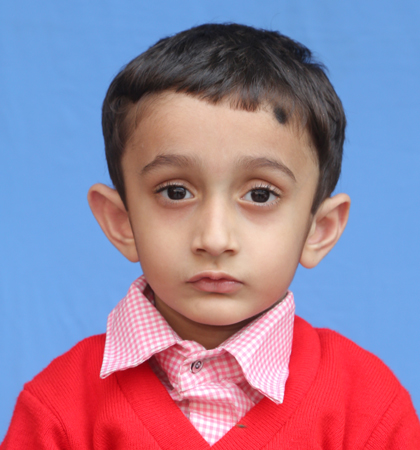 PARV JAIN 